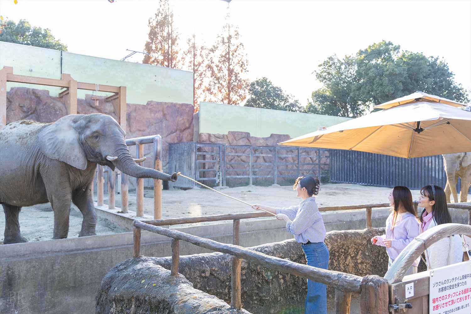 アクティビティ