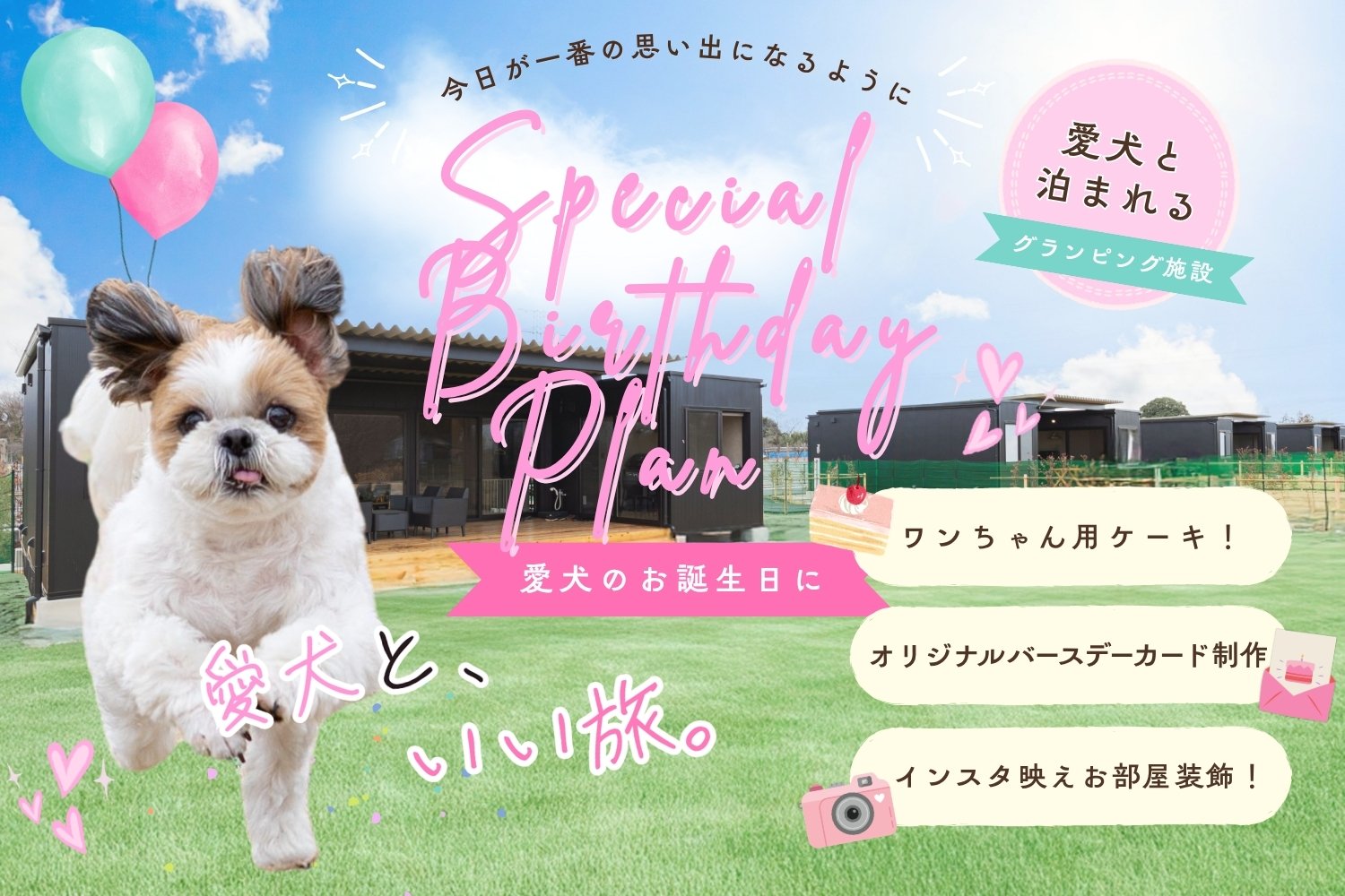 愛犬バースデープラン