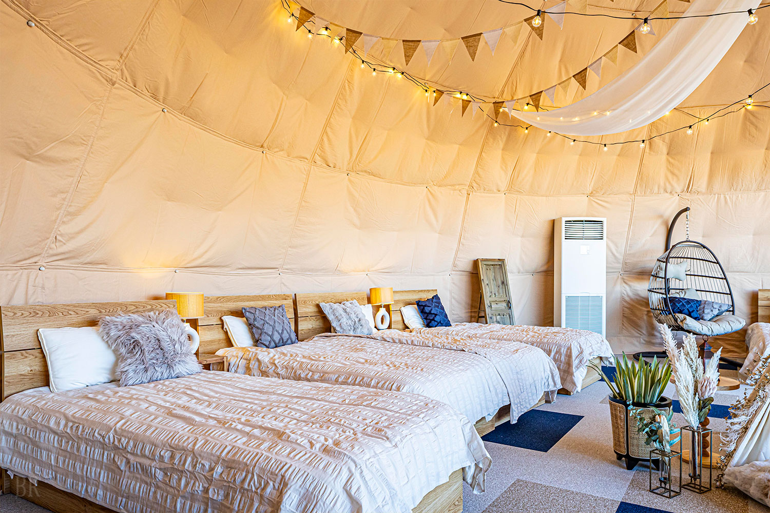 サプライズガーデン