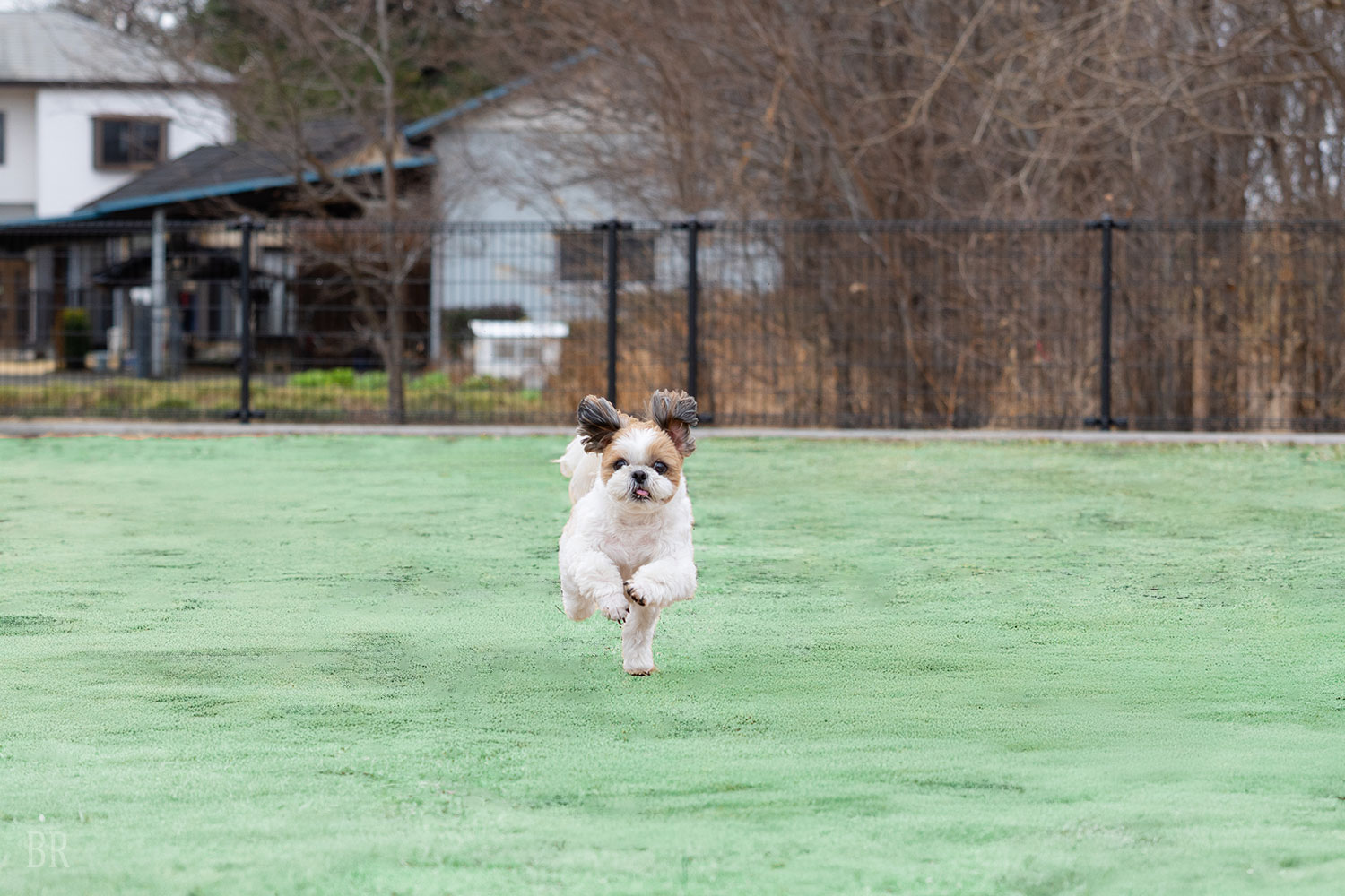 フォレストテラス