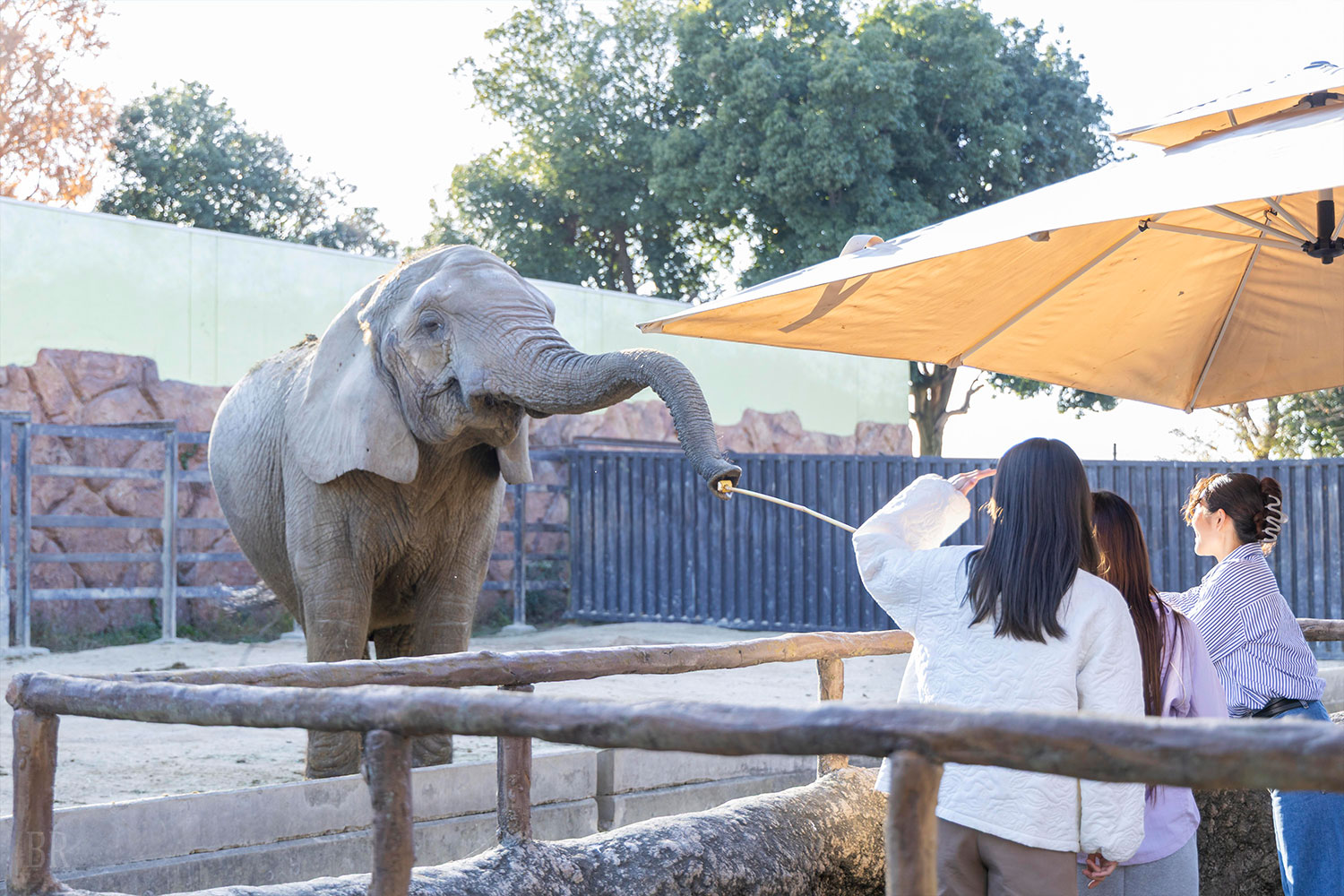 東武動物公園入園チケット割引案内