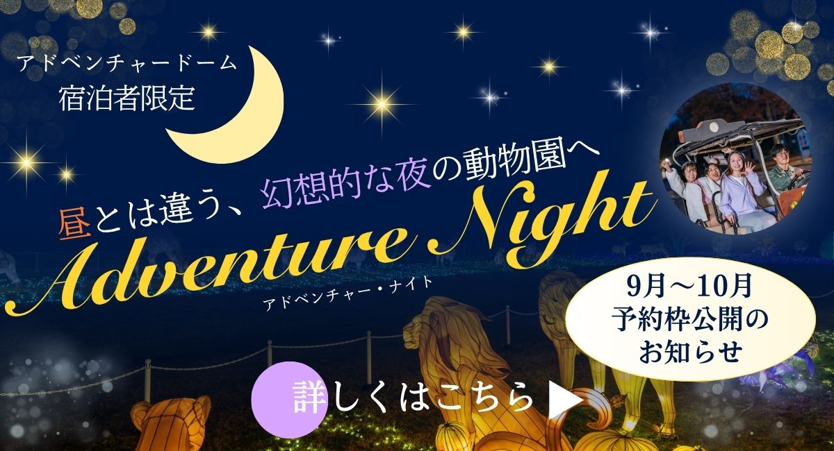 アドベンチャーナイト予約枠公開のお知らせ