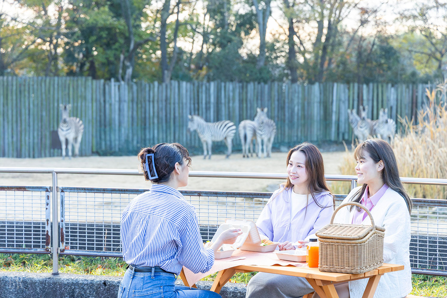 サバンナテラス・モーニング