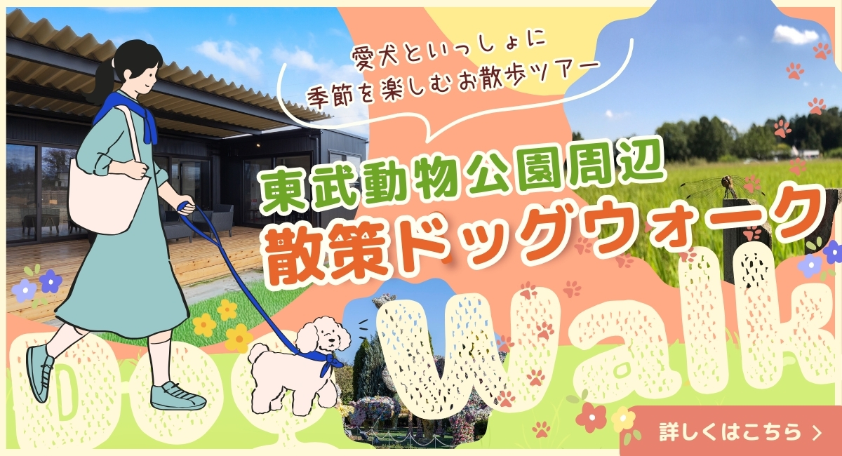 パックウォーク