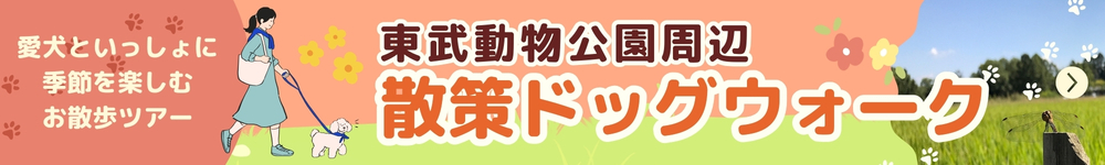 パックウォーク