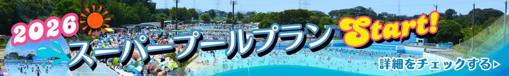 スーパープールプラン