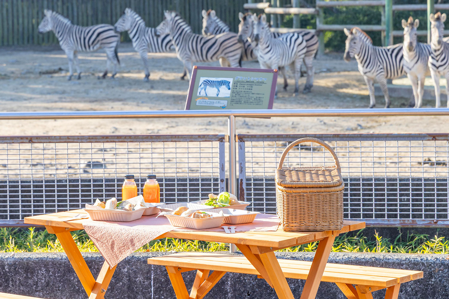 サバンナテラス・モーニング