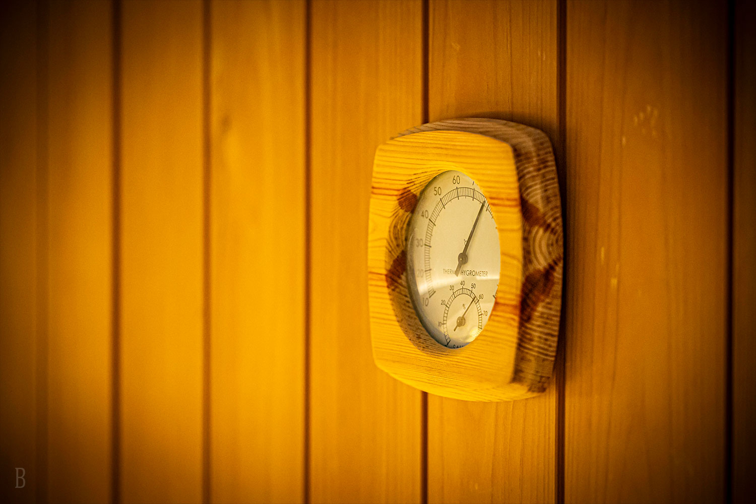 アドベンチャードーム全棟に完備！プライベートサウナ付きのお部屋